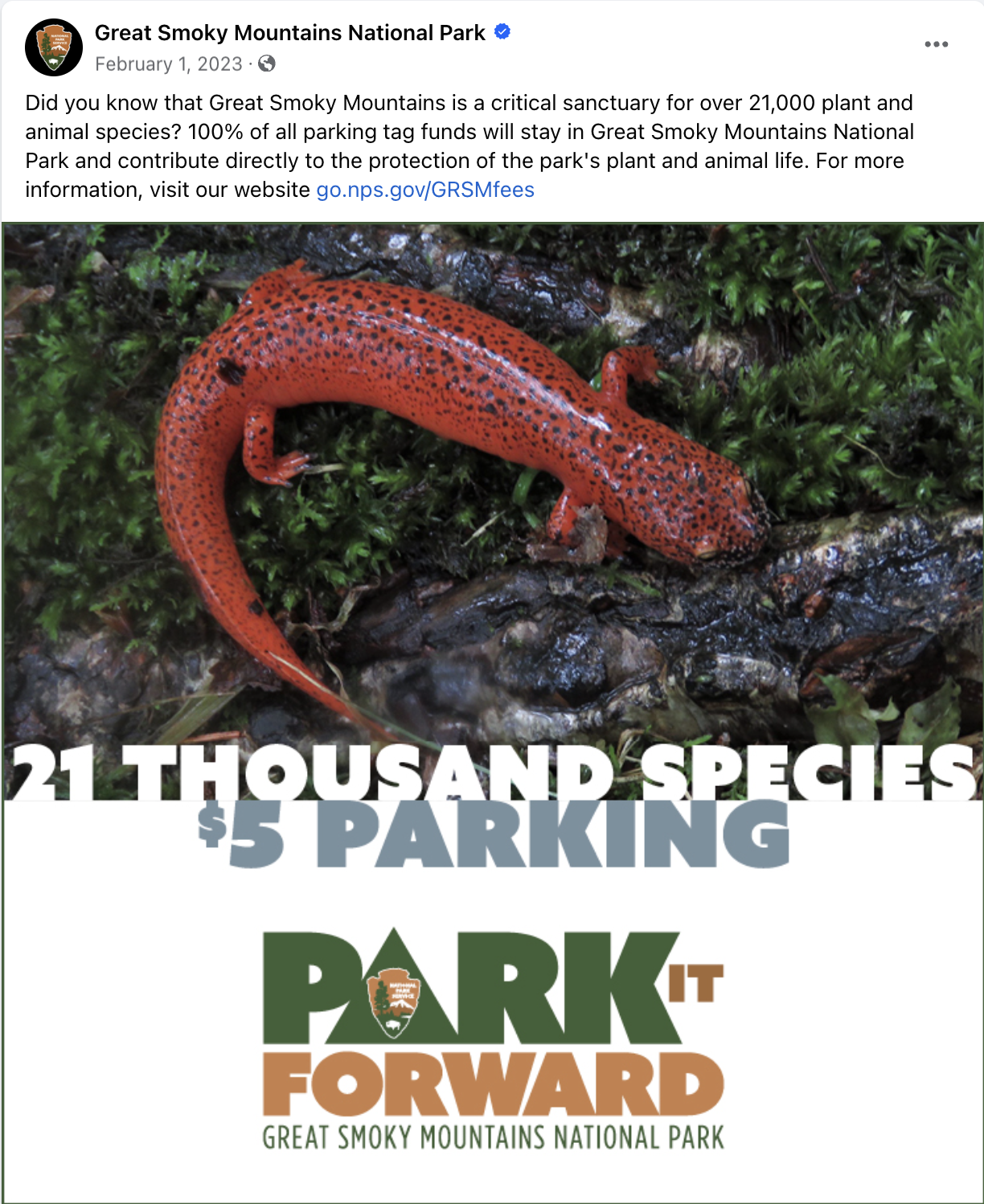 Great Smoky Mountains National Park organic social media image